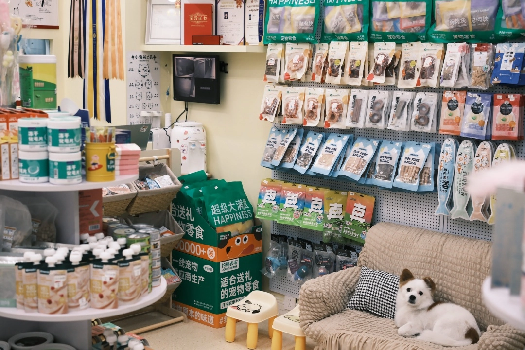 洛阳猫咪洗澡推荐_布偶猫低压力洗护_泉舜附近宠物店